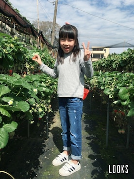 彤樂會さんのコーディネート