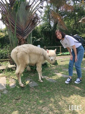 彤樂會さんのコーディネート