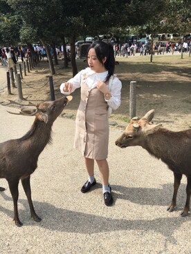 Phoebe Leeさんのコーディネート