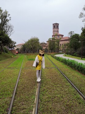 两个大脑的小栗子さんのコーディネート