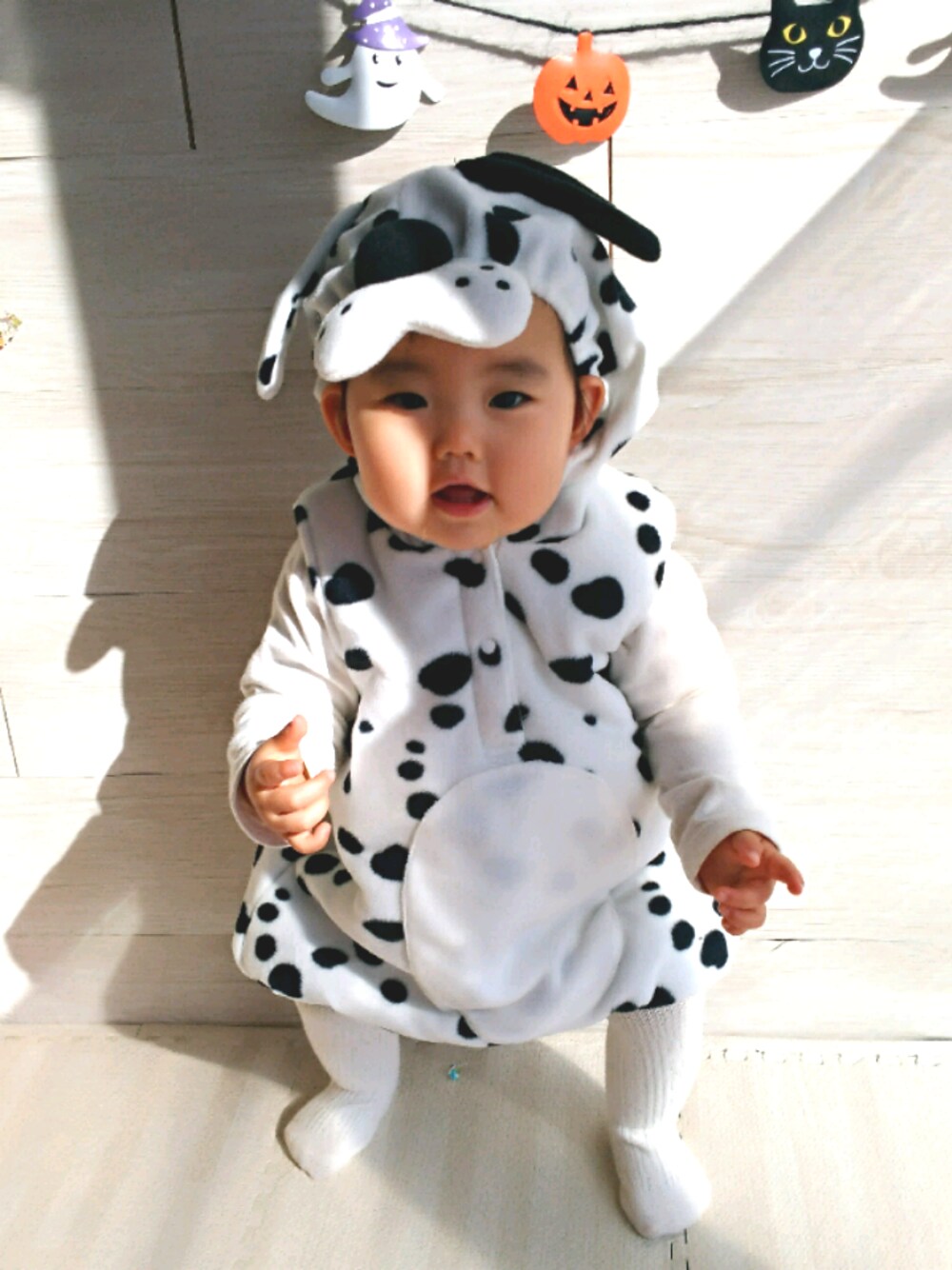 「wearhalloween2017、ハロウィン、仮装、kids、1歳3ヶ月、おんなのこ、ダルメシアン柄、犬、かわいい」｜「赤ちゃん本舗のアイテム（ワンピース/ドレス、その他）」を使った、のゆせさん（キッズ・80cm）の秋コーディネートの1枚目の写真