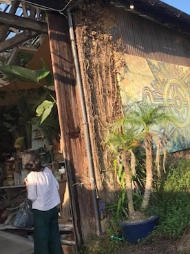 RINさんのコーディネート