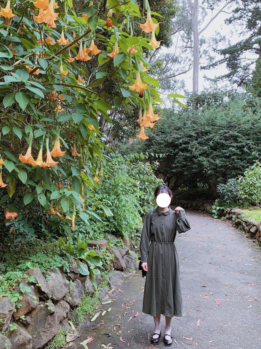 「LEBECCA boutique、LEBECCAboutique、HARUTA」｜「LEBECCA boutiqueのアイテム（ワンピース、グリーン系）」を使った、Mangojamさん（レディース・160cm）の夏コーディネートの1枚目の写真