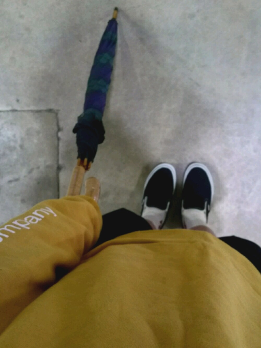 「短パンスタイル、短パンはじめました、x-girl、Dickies、VANS、靴下屋、春コーデ」｜「X-girlの【WEB限定】SWEAT CREW DESIGN TOP（スウェット、イエロー系）」を使った、seimaaさん（レディース・156cm）の春コーディネートの1枚目の写真