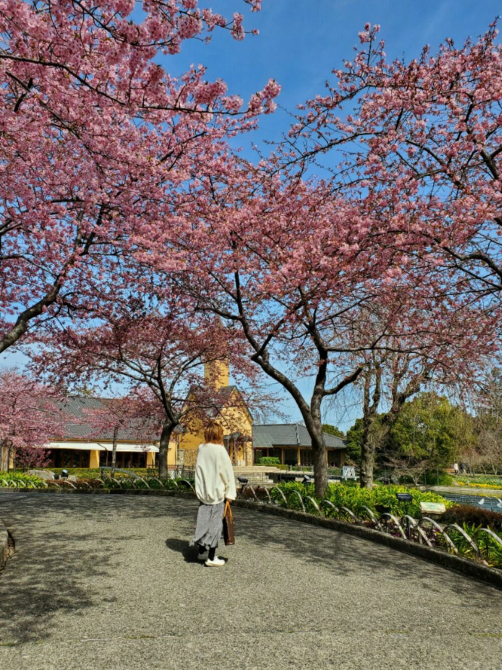 「春、休日コーデ、スニーカーコーデ、シンプルコーデ、ホワイト」｜「earth music&ecologyの小花柄フレアスカート＊（スカート、ブラック系）」を使った、lin9087さん（レディース・164cm）の春コーディネートの1枚目の写真