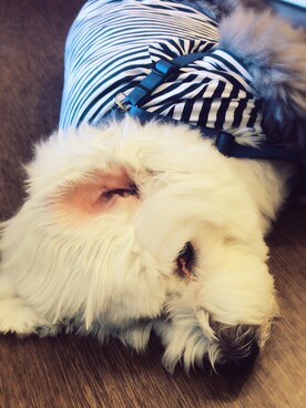 Rosettaさんのコーディネート