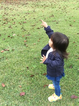 niiさんのコーディネート