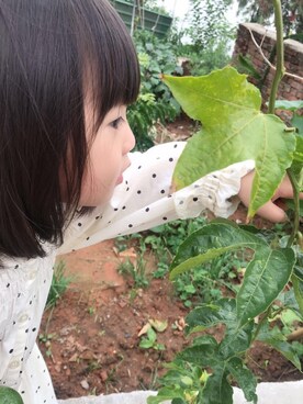 iarabsさん(キッズ・100cm)の春コーディネート