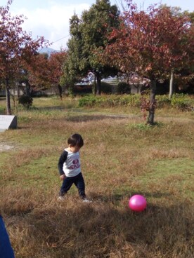 そらっぴさん（レディース・90cm）の秋コーディネート