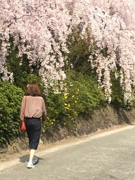 蒼さん(レディース・164cm)の春コーディネート