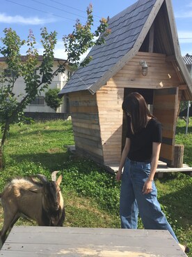 蒼さん（レディース・165cm）の夏コーディネート