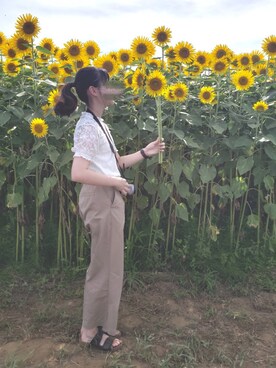 ａｎｏ︎︎さんのコーディネート