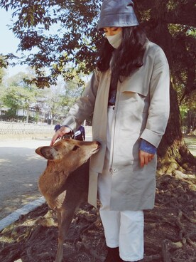 Adaさんのコーディネート