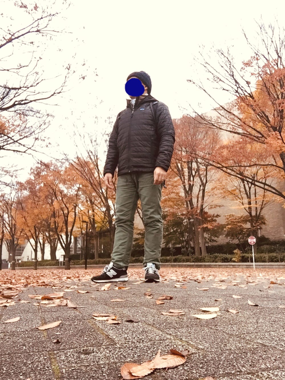 patagoniaのナイロンジャケット（ブラウン系）を使った人気