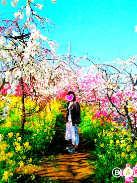 Alyssaさんのコーディネート