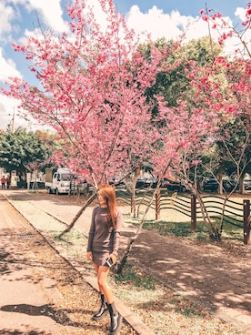 BlairBさんのコーディネート