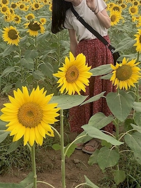 ぽんずさん（レディース・166cm）の秋コーディネート