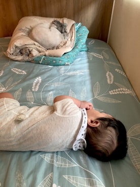 CYCさんのコーディネート