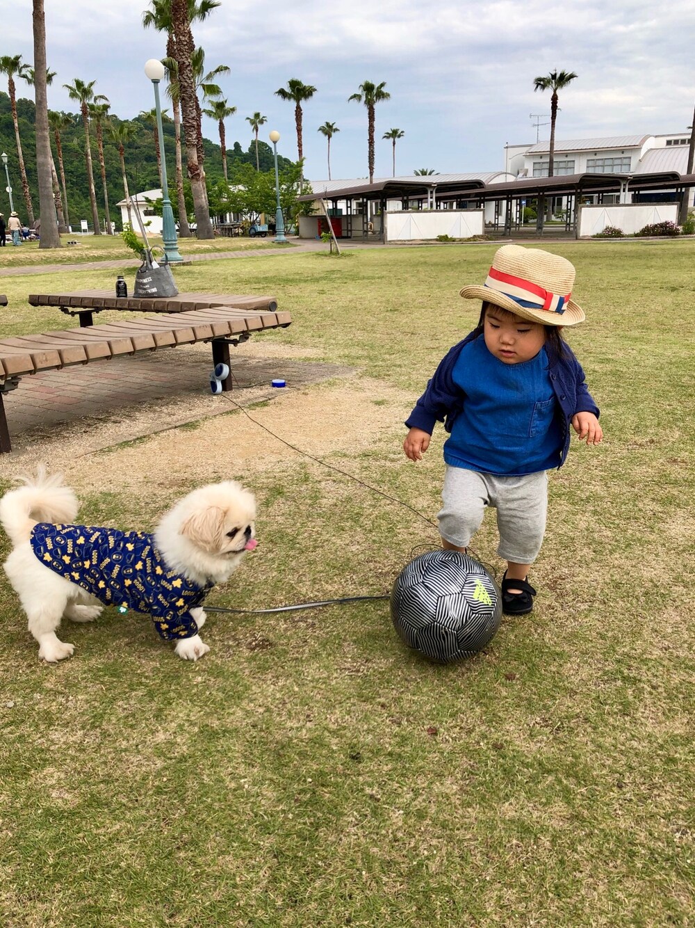 「80cm、90cm、キッズコーデ、ベビーコーデ、犬、夏コーデ、帽子、麦わら帽子、海」｜「babyGAPのアイテム（トップス、ブルー系）」を使った、kn5mkさん（キッズ・80cm）の春コーディネートの1枚目の写真