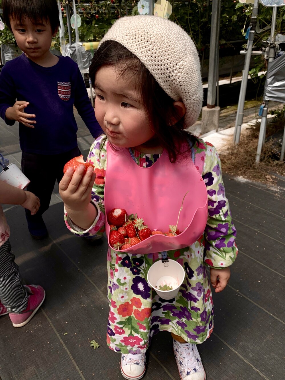 「いちご、ピンク、ワンピース、花柄、女の子、キッズコーデ、春コーデ、ベレー帽」｜「GYMBOREEのアイテム（ワンピース/ドレス、その他）」を使った、kn5mkさん（キッズ・90cm）の夏コーディネートの1枚目の写真