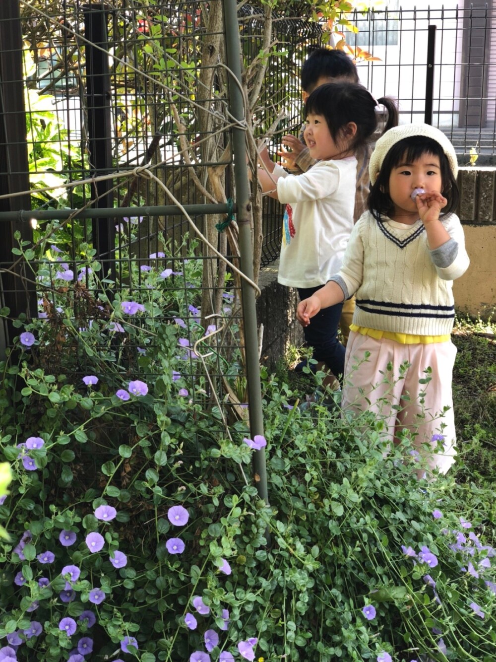 「ガウチョ、女の子、キッズコーデ、女の子コーデ、ワイドパンツ、帽子、ベレー帽、春コーデ」｜「combiminiのアイテム（ベスト、ホワイト系）」を使った、kn5mkさん（キッズ・90cm）の夏コーディネートの1枚目の写真