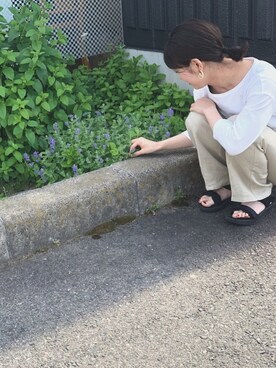 Shizukaさんのコーディネート