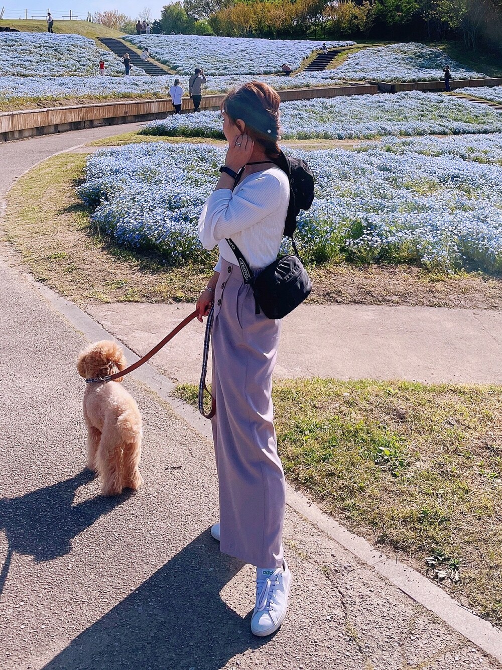 「オトナ女子、休日スタイル、シンプルコーデ、春カラースタイル、今日のコーデ、GU、ホワイト、低身長、アディダス、しまむら」｜「しまむらのアイテム（パンツ、ピンク系）」を使った、aiko❤️さん（レディース・153cm）の春コーディネートの1枚目の写真