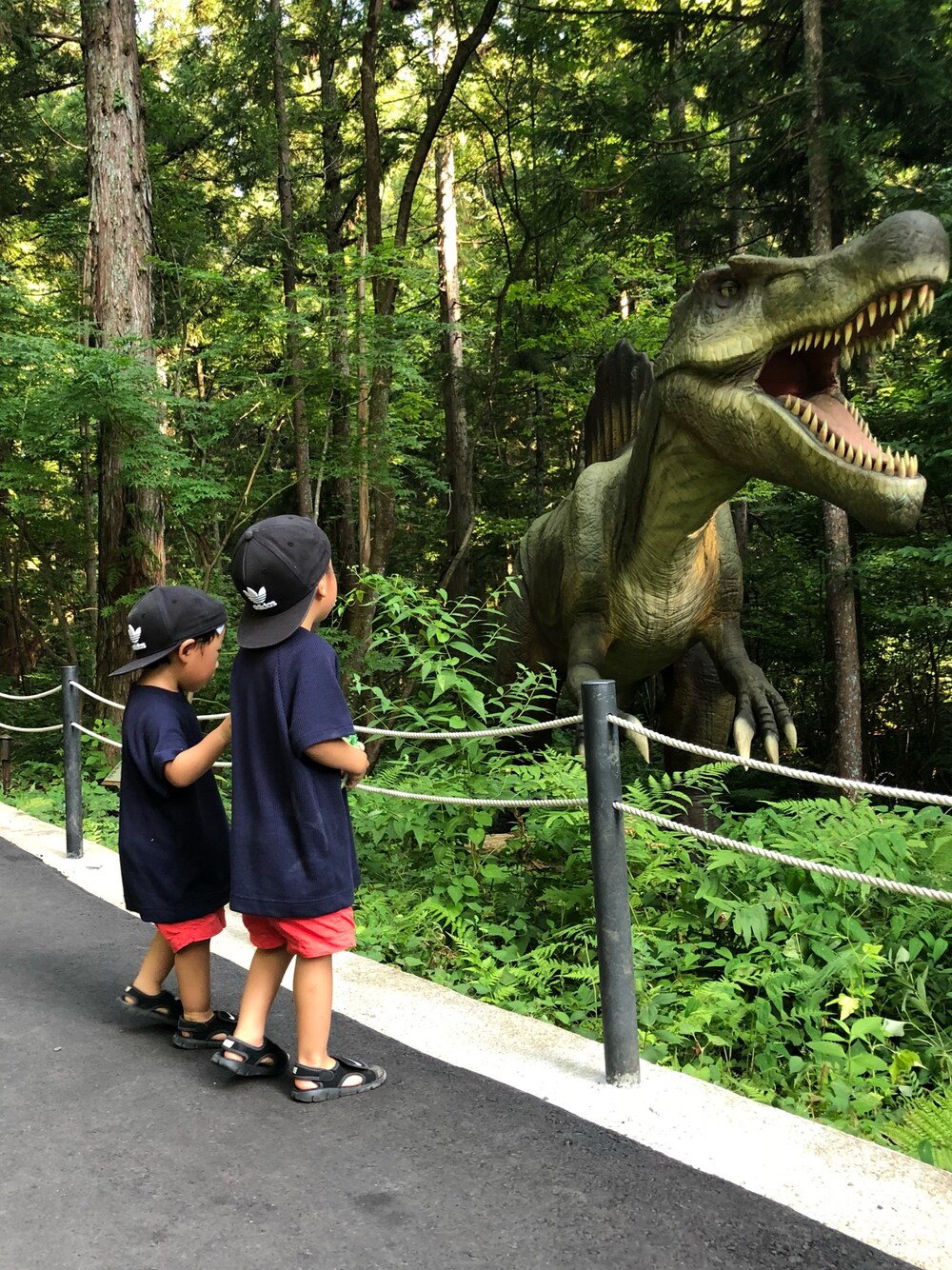 「恐竜、かつやまディノパーク、男の子コーデ、ふたごコーデ、おそろいコーデ、きょうだい、カジュアルコーデ、2018ss、アディダス、ナイキサンダル」｜「coenの【coen キッズ / ジュニア】ふんわりラグランワッフルＴシャツ(100～150cm)（Tシャツ/カットソー、ブルー系）」を使った、あお&いぶさん（キッズ・100cm）の秋コーディネートの1枚目の写真