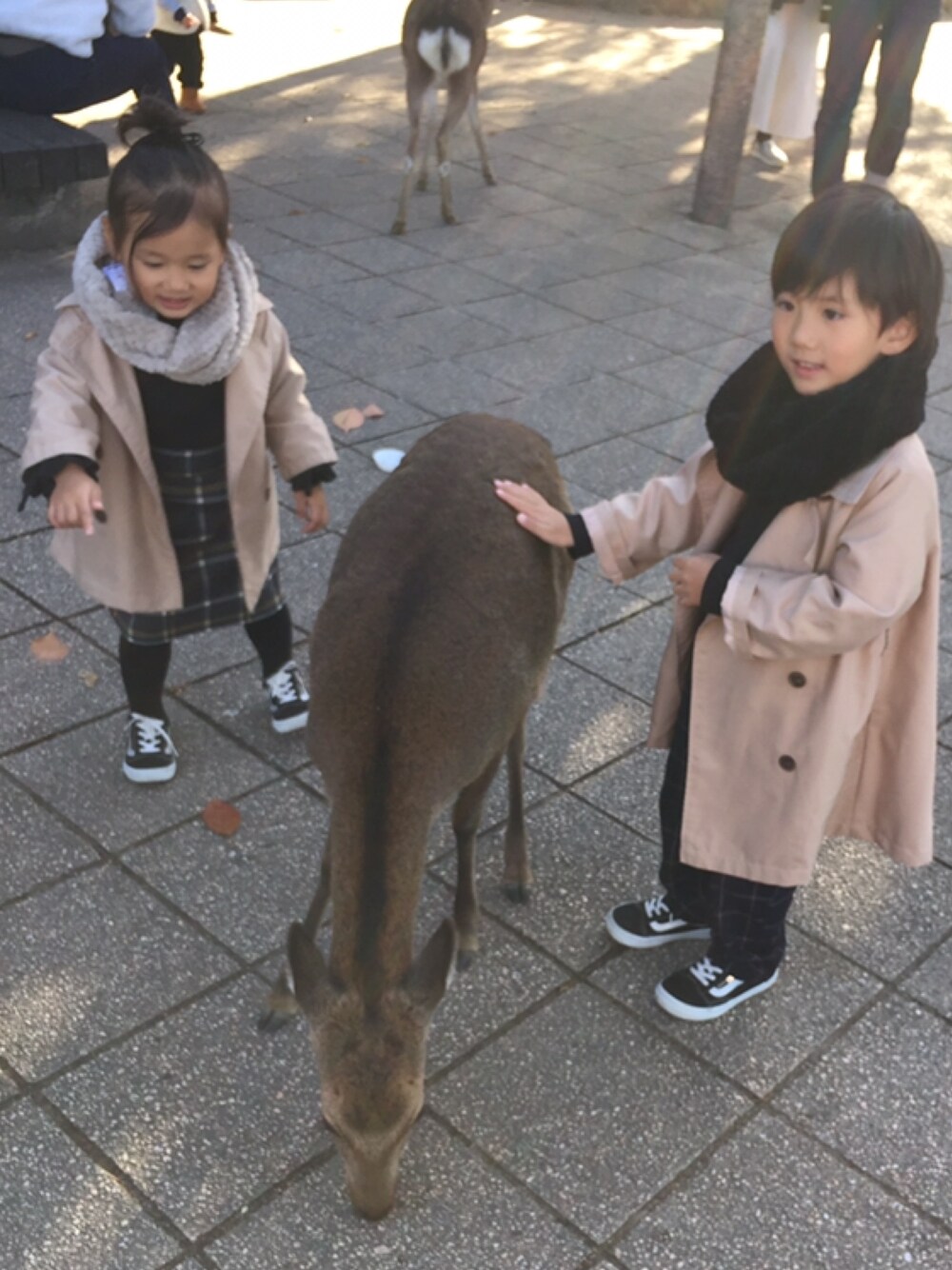 「秋冬コーデ、カジュアルコーデ、キッズファッション、kids、トレンチコート、VANS、スニーカー、チェック、プチプラ、兄妹コーデ」｜「GLOBAL WORKの【キッズ】チェックサスツキタイトスカート（スカート、グレー系）」を使った、れいさん（キッズ・100cm）の秋コーディネートの1枚目の写真