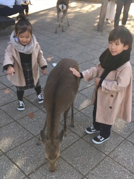 「kids」｜「アイテム（トレンチコート）」を使った、れいさん（キッズ・100cm）の秋コーディネート