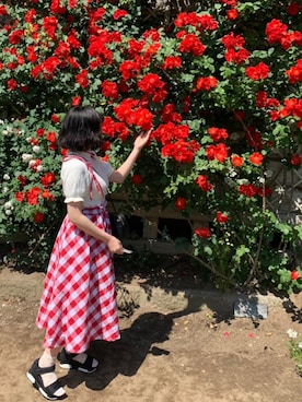 むぅさんのコーディネート