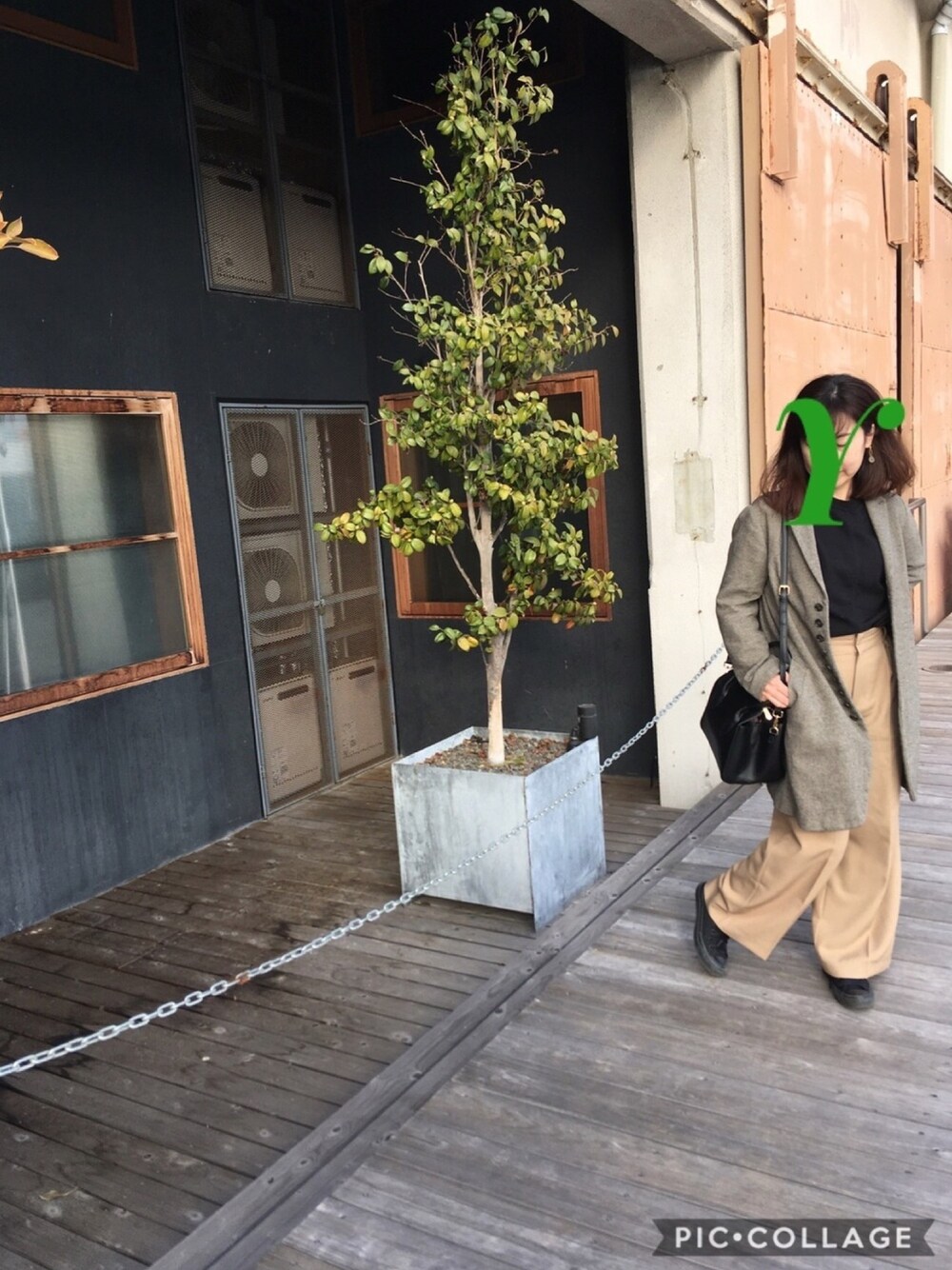 「冬のコーデ、スニーカー、converse、ワイドパンツ、尾道」｜「pas de calaisのアイテム（チェスターコート、グレー系）」を使った、yasukogoさん（レディース・153cm）の冬コーディネートの1枚目の写真