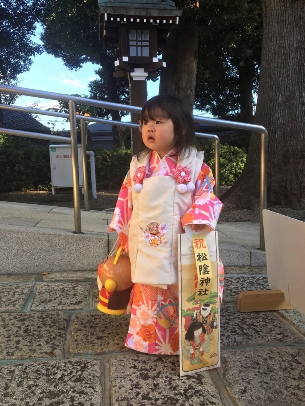 「3歳、七五三、着物、被布、和装、千歳飴」｜「七五三のアイテム（浴衣、ピンク系）」を使った、あかねくん&たっくんさん（キッズ・90cm）の秋コーディネートの1枚目の写真