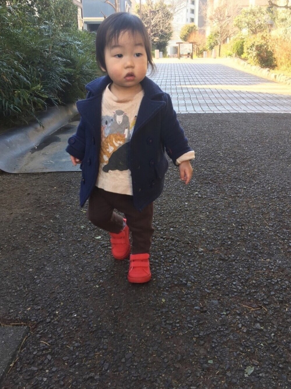 「1歳5ヶ月、ピーコート、おさがり、graniph、グラニフ、choochootrain、赤差し色、チョコ色に染まれ」｜「西松屋のアイテム（ピーコート、ブルー系）」を使った、あかねくん&たっくんさん（キッズ・80cm）の冬コーディネートの1枚目の写真