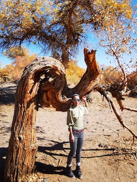niuさんのコーディネート