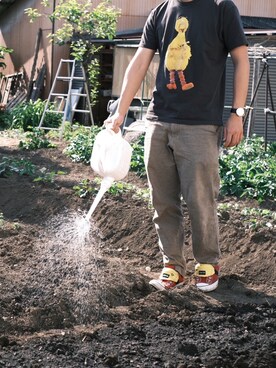 ダイ助さんのコーディネート