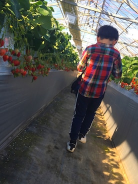 RNTさんのコーディネート