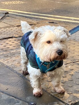 ituoさんのコーディネート