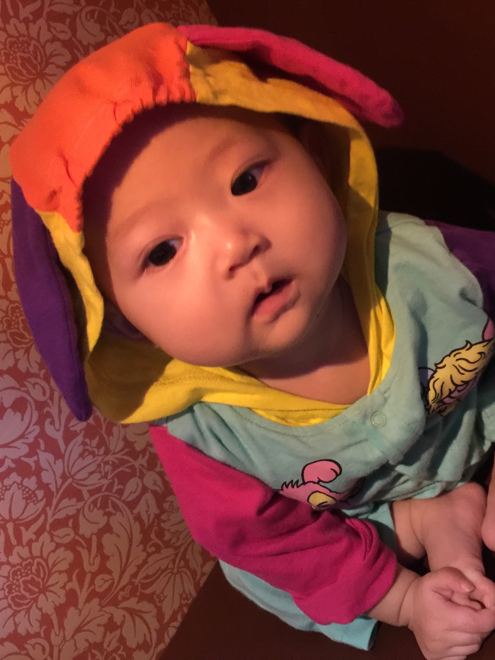 「hysteric mini、ヒステリックミニ、babyfashion、ベビーファッション、babycode、ベビーコーデ、babygirl 、ベビーガール、５ヶ月、ロンパース」｜「HYSTERIC MINIのBABY PARTY MINI POPPLY 耳付きカバーオール（ロンパース、ブルー系）」を使った、NONNONさん（キッズ・60cm）の春コーディネートの1枚目の写真