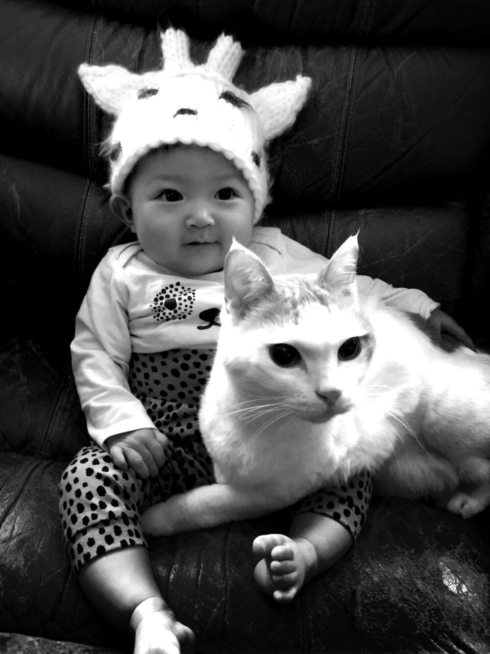 「petit main、プティマイン、babyfashion、ベビーファッション、babycode、ベビーコーデ、babygirl 、ベビーガール、ネコちゃん、アニマルズ」｜「petit mainのアイテム（ニットキャップ/ビーニー、ホワイト系）」を使った、NONNONさん（キッズ・60cm）の春コーディネートの1枚目の写真