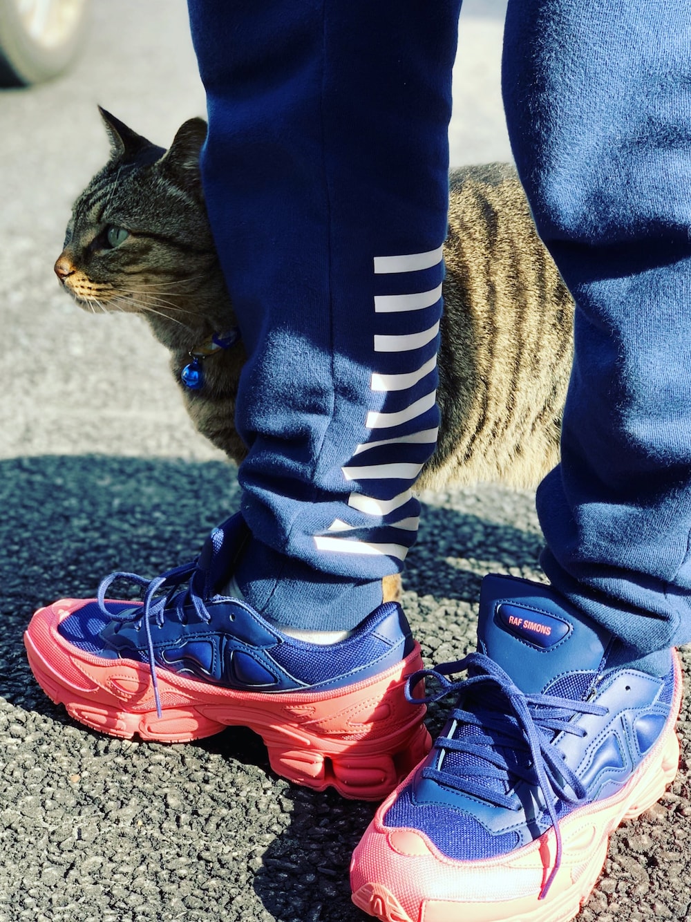 「スニーカー、ラフシモンズ、スウェット、ネコ、春、street、スポーツミックス、アディダス、ネイビー、モード」｜「トラちゃんのアイテム（その他、グレー系）」を使った、HirôtaKa_sTさん（メンズ・172cm）の春コーディネートの1枚目の写真