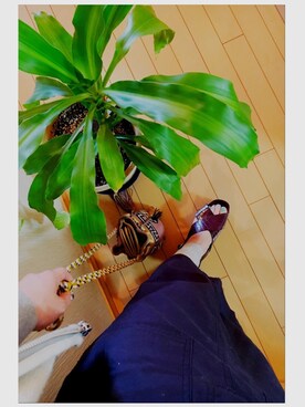 めぐ さんのコーディネート