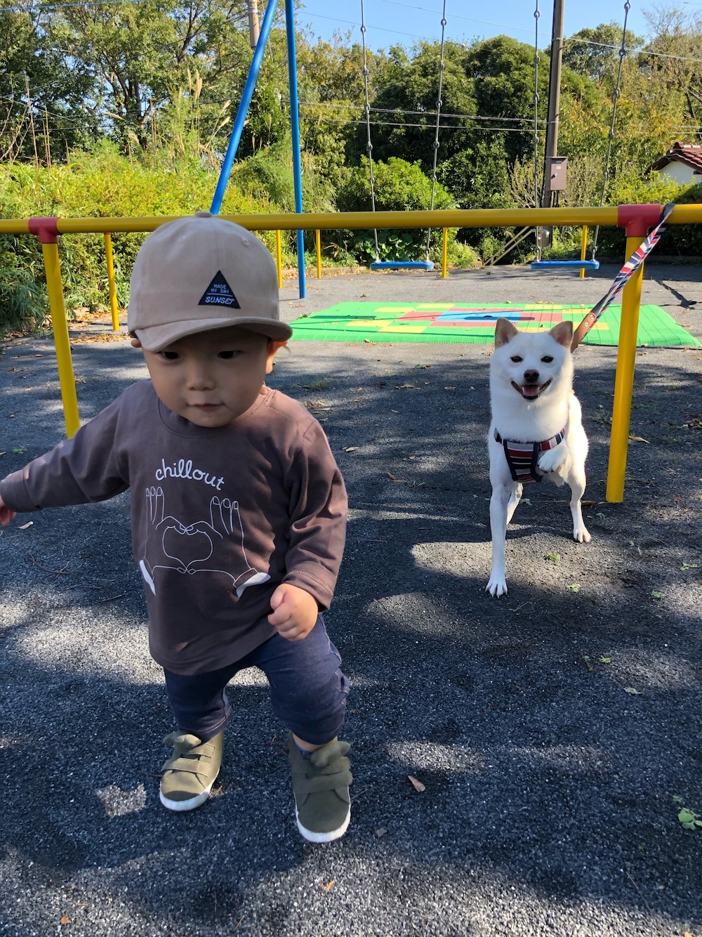 「おとこのこ、1歳3ヶ月、公園、おさんぽ、柴犬」｜「devirockのアイテム（Tシャツ/カットソー、ブラウン系）」を使った、はちさん（キッズ・80cm）の秋コーディネートの1枚目の写真