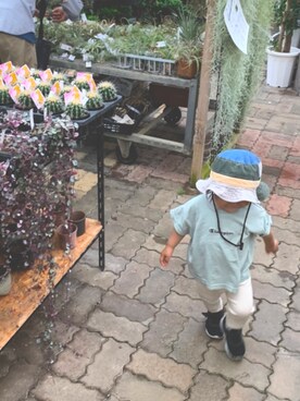 IoMiyaさんのコーディネート