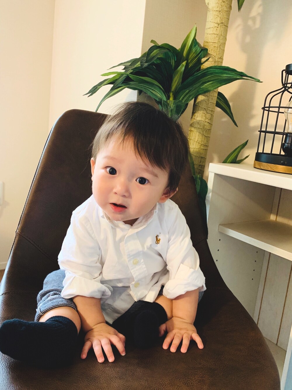 「おとこのこ、2020、秋服、8month、Ralph Lauren、プチバトー、Ralph好き」｜「POLO RALPH LAUREN CHILDRENSWEARのコットン オックスフォード シャツ（シャツ/ブラウス、ホワイト系）」を使った、mizuchancoordinateさん（キッズ・70cm）の秋コーディネートの1枚目の写真