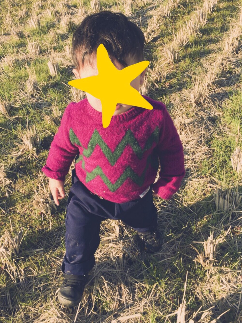 「男の子、1歳、kids、キッズコーデ」｜「BREEZEのアイテム（ニット/セーター、パープル系）」を使った、MONKAJIさん（キッズ・80cm）の冬コーディネートの1枚目の写真