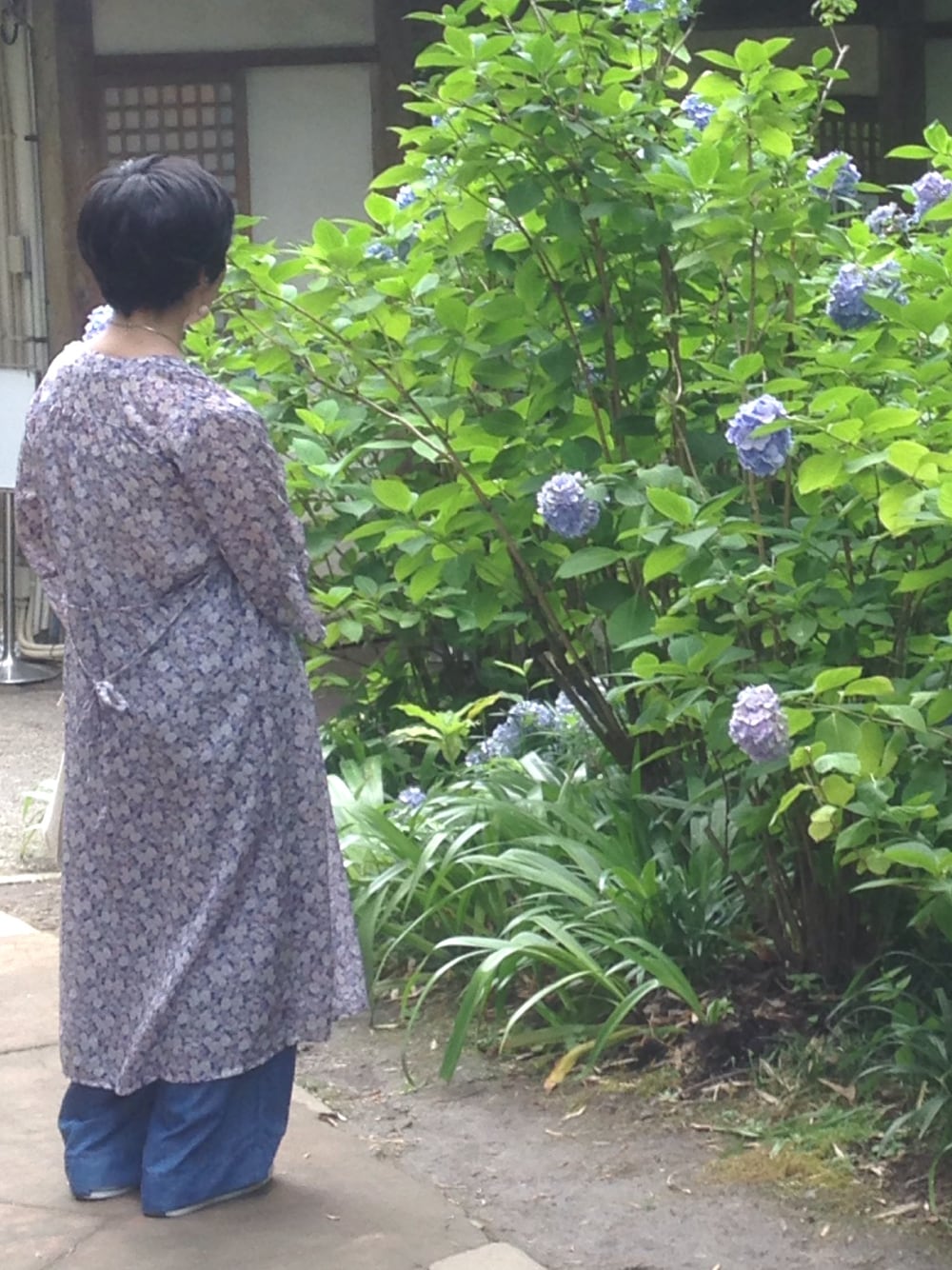 「明月院、紫陽花」｜「w closetのアイテム（シャツワンピース、ブルー系）」を使った、megumiさん（レディース・153cm）の夏コーディネートの1枚目の写真