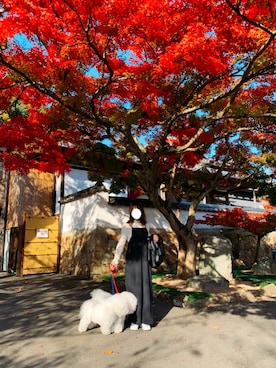 juntanさんのコーディネート