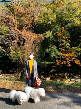 juntanさんのコーディネート