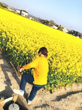 ぴーすけさんのコーディネート